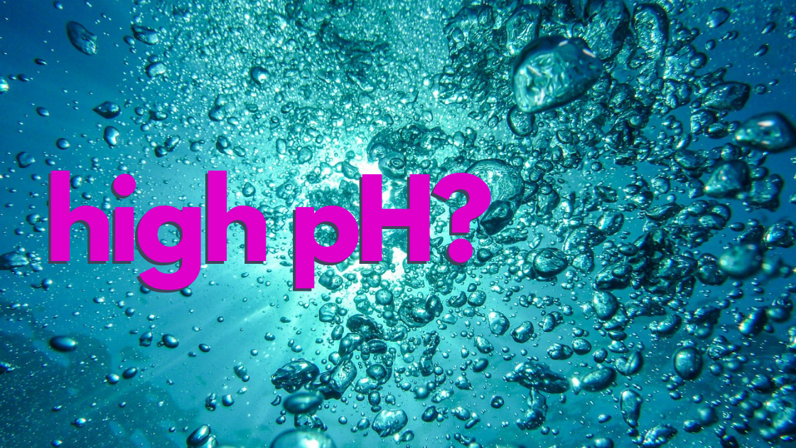 What Causes a High pH in a Swimming Pool?